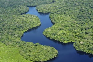 Vista aérea da Amazônia. Foto: Flickr/CIAT/ Neil Palmer (cc) 