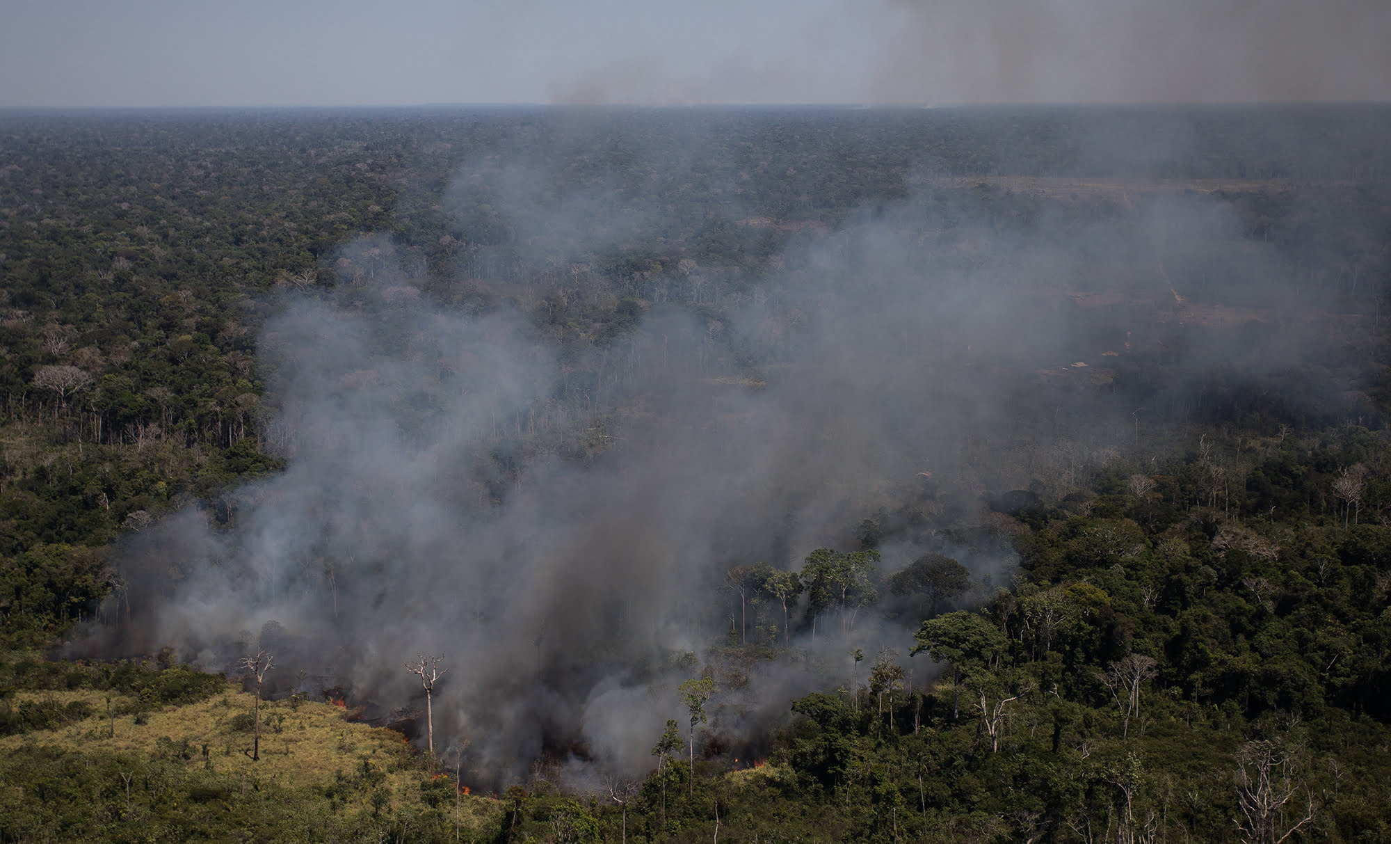 O herói do Acre - Amazônia Real