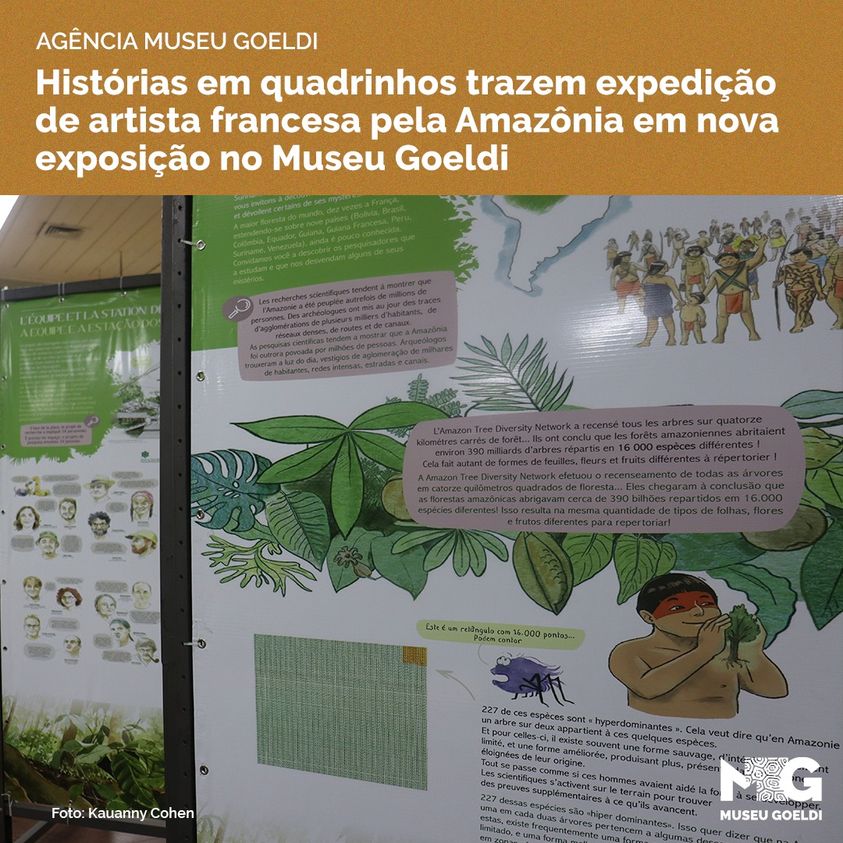 Amazônia já foi povoada por cerca de 10 milhões de pessoas no passado